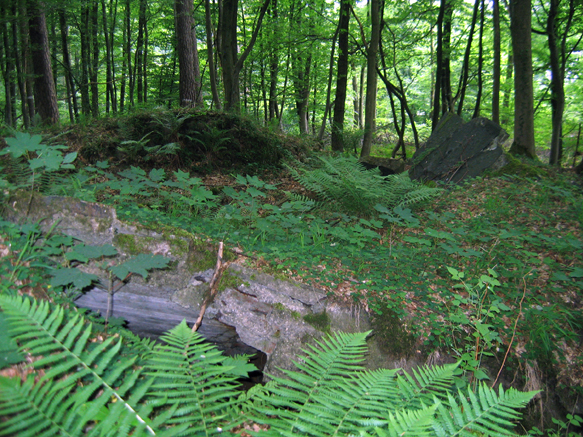 n_06_kö_J101_zeitzg2.jpg